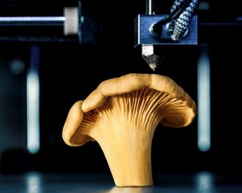 food 3d printing